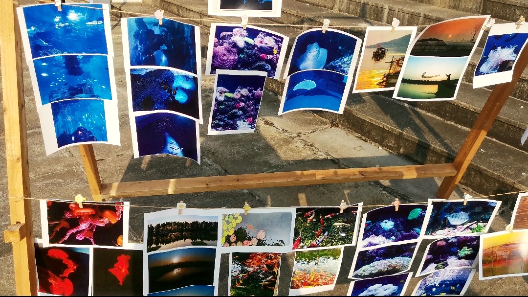 渔文化作品展示区(胡彩云 供图)